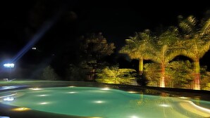 Nachtsicht auf ein Schwimmbad mit umliegenden Palmen und einem beleuchteten Gebäude in der Ferne.