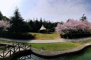 A park with a pond, a wooden bridge, and cherry blossom trees. - Jinshan Hotel (Shanghai)
