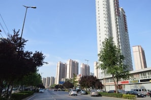 Miscelánea