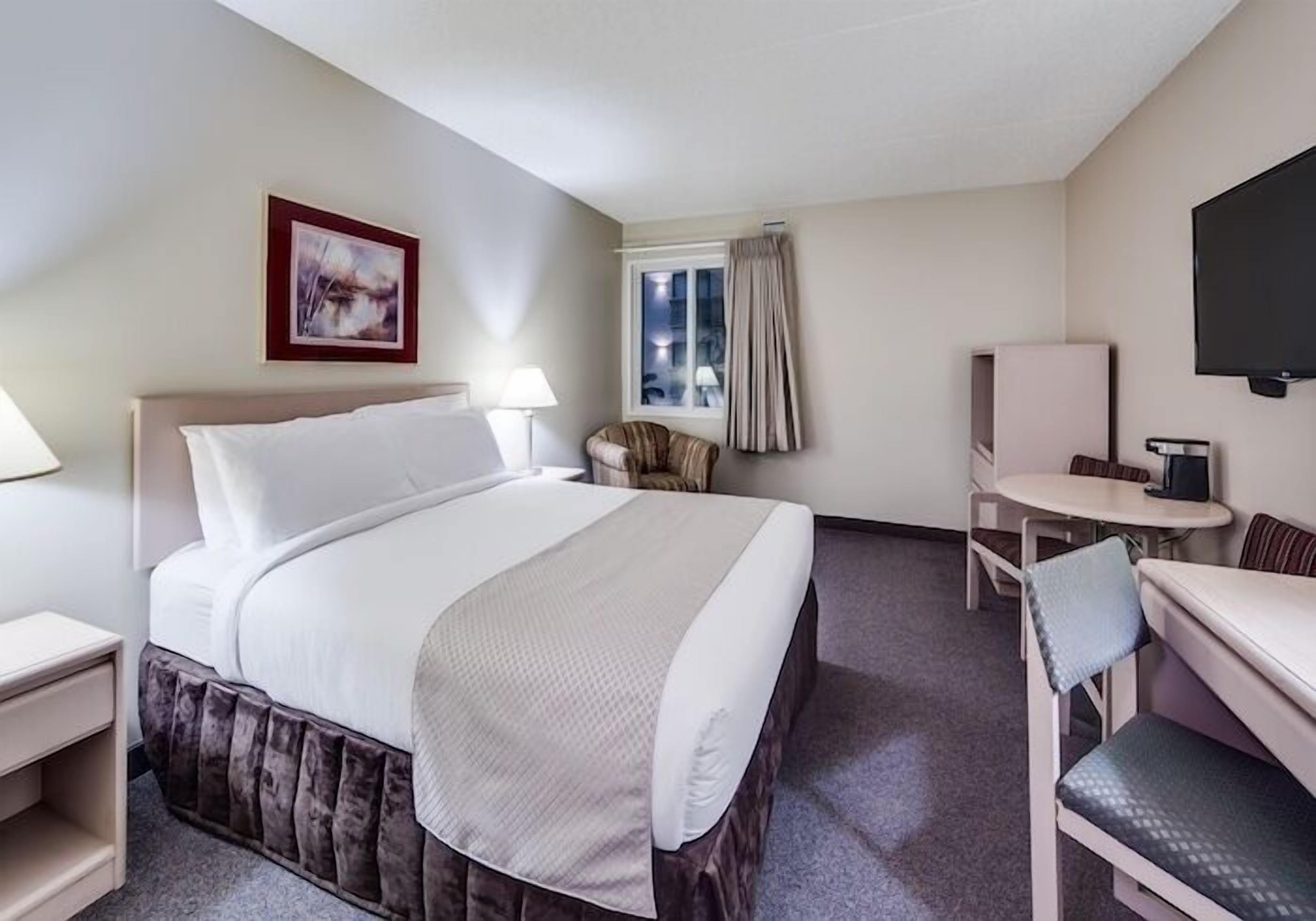 Standard Room | Desk, blackout curtains, free WiFi, bed sheets