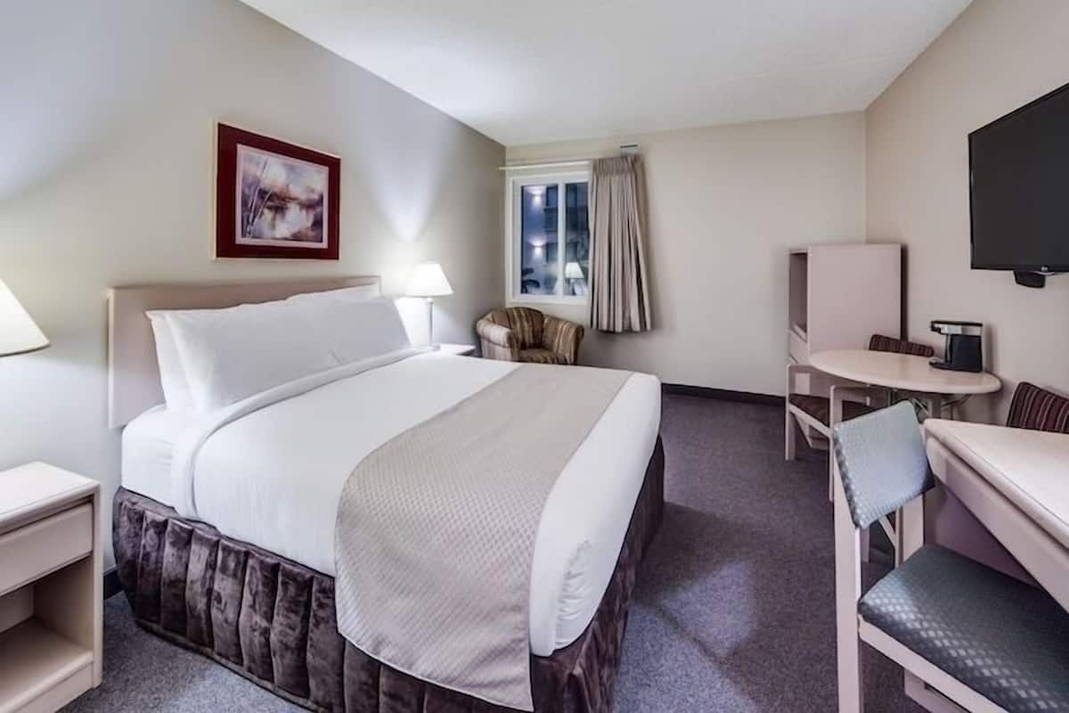 Escritorio, cortinas blackout, wifi gratis y ropa de cama