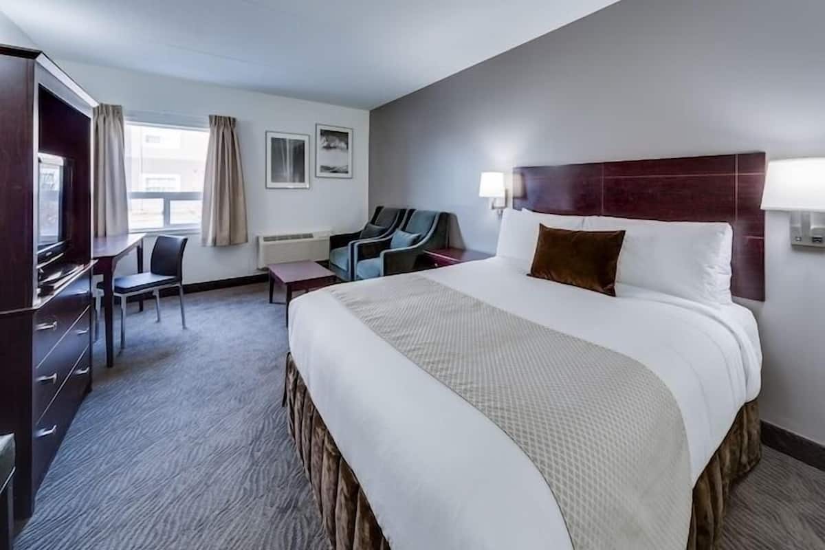 Escritorio, cortinas blackout, wifi gratis y ropa de cama