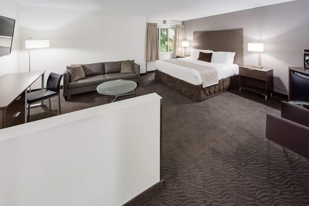 Premier Studio Suite, 1 King Bed | Desk, blackout curtains, free WiFi, bed sheets
