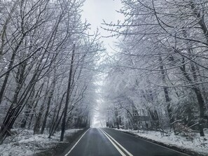 Miscellaneous - Britton Hall Bungalow (Westgate, near Stanhope)