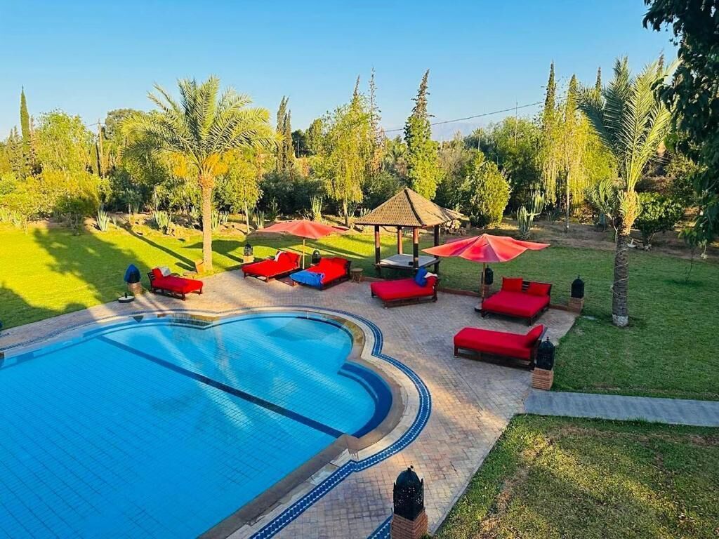 Une piscine entourée de verdure et d’arbres, avec des chaises longues rouges et des parasols.