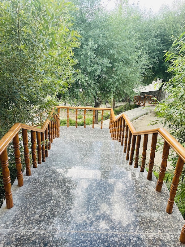 Vista al jardín