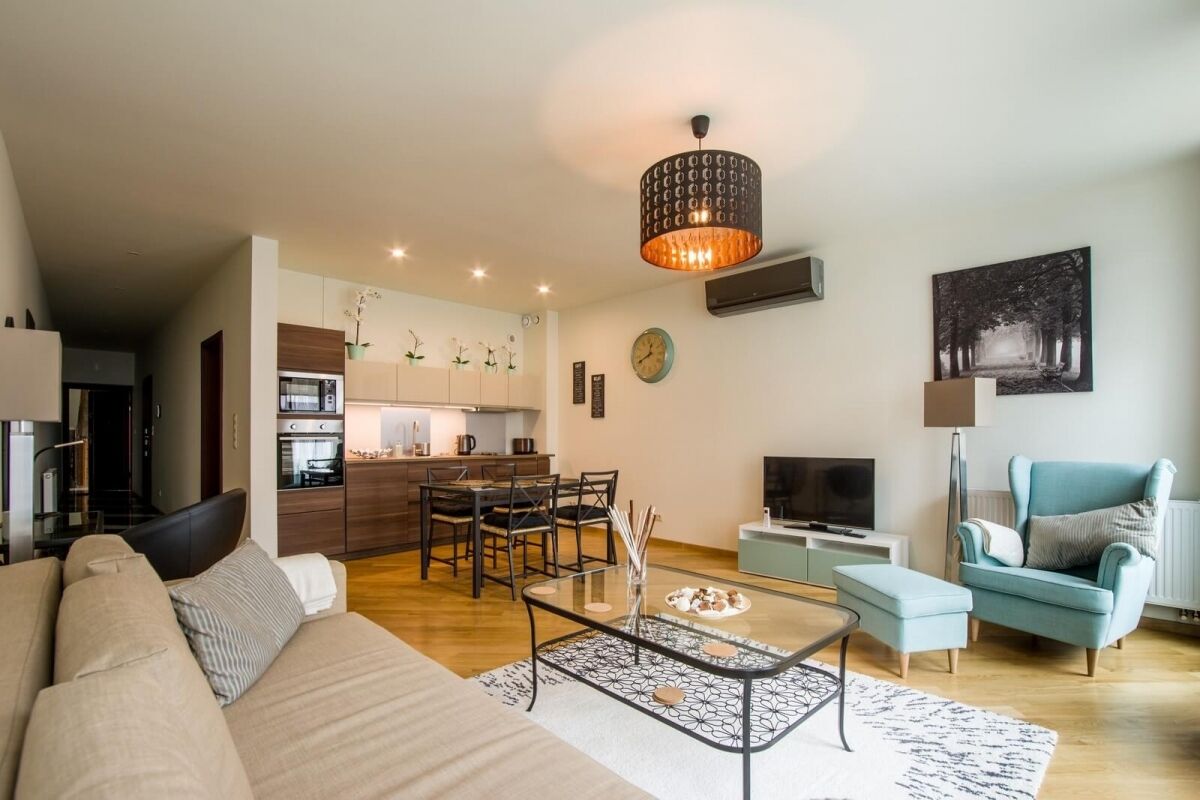 Comfort Apartment, 1 Bedroom, Kitchenette, City View | Living room | 52-inch flat-screen TV with digital channels