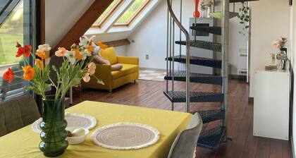 4-bedroom house in wonderful Denderleeuw with AC, WiFi