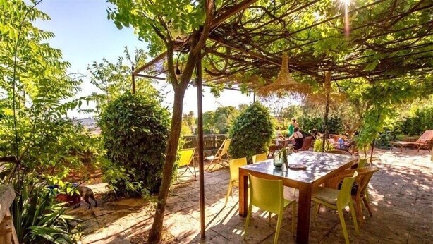 Ein Terrassenbereich im Freien mit Tisch und Stühlen, umgeben von Grünpflanzen und Bäumen.
