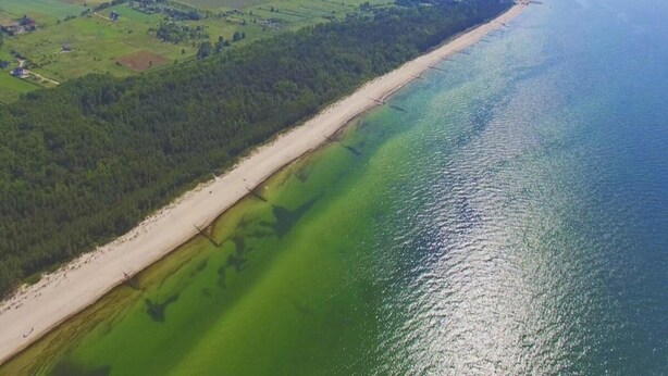 An aerial view of a coastal area with a long sandy beach and a forested area adjacent to a greenish-blue sea. - Holiday Home in Mielenko Near Seaside Beach (Mielno)