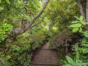 Un sentier étroit bordé d’une végétation luxuriante et d’arbres.