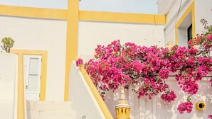 Teras/patio