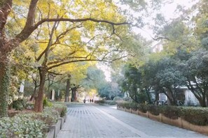 A tree-lined pathway with a paved surface, leading to a building entrance. - Vientiane Hengyuan Hotel (Nanjing Jianning Road Railway Station) (Nanjing)