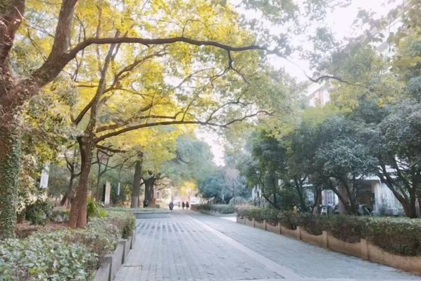 Un chemin bordé d’arbres, doté d’une surface pavée, qui mène à l’entrée d’un bâtiment.