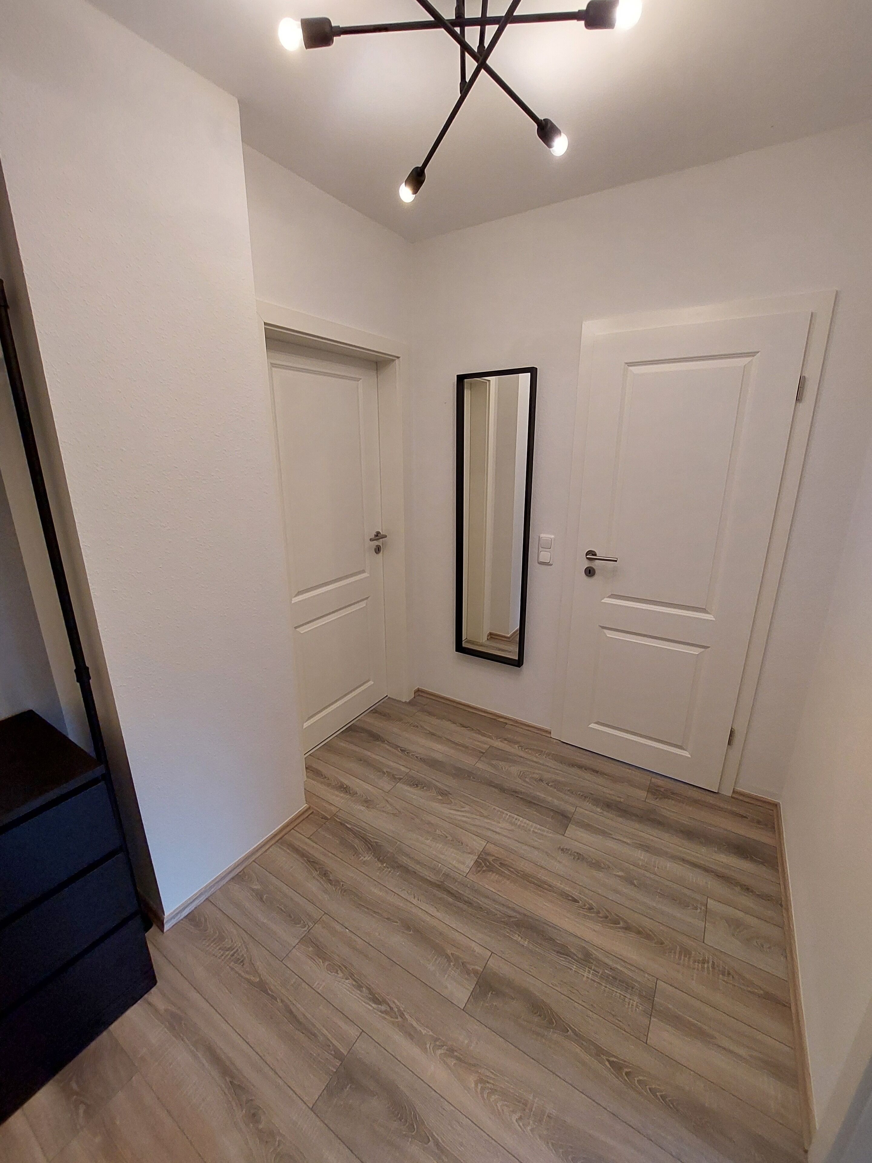 A room with a wooden floor, white walls, two white doors, and a ceiling light fixture.