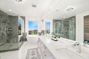 Shower, hair dryer, bidet, towels
