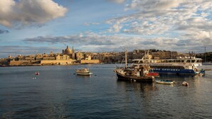 A harbor with boats, a large cruise ship, and a historic cityscape in the background.