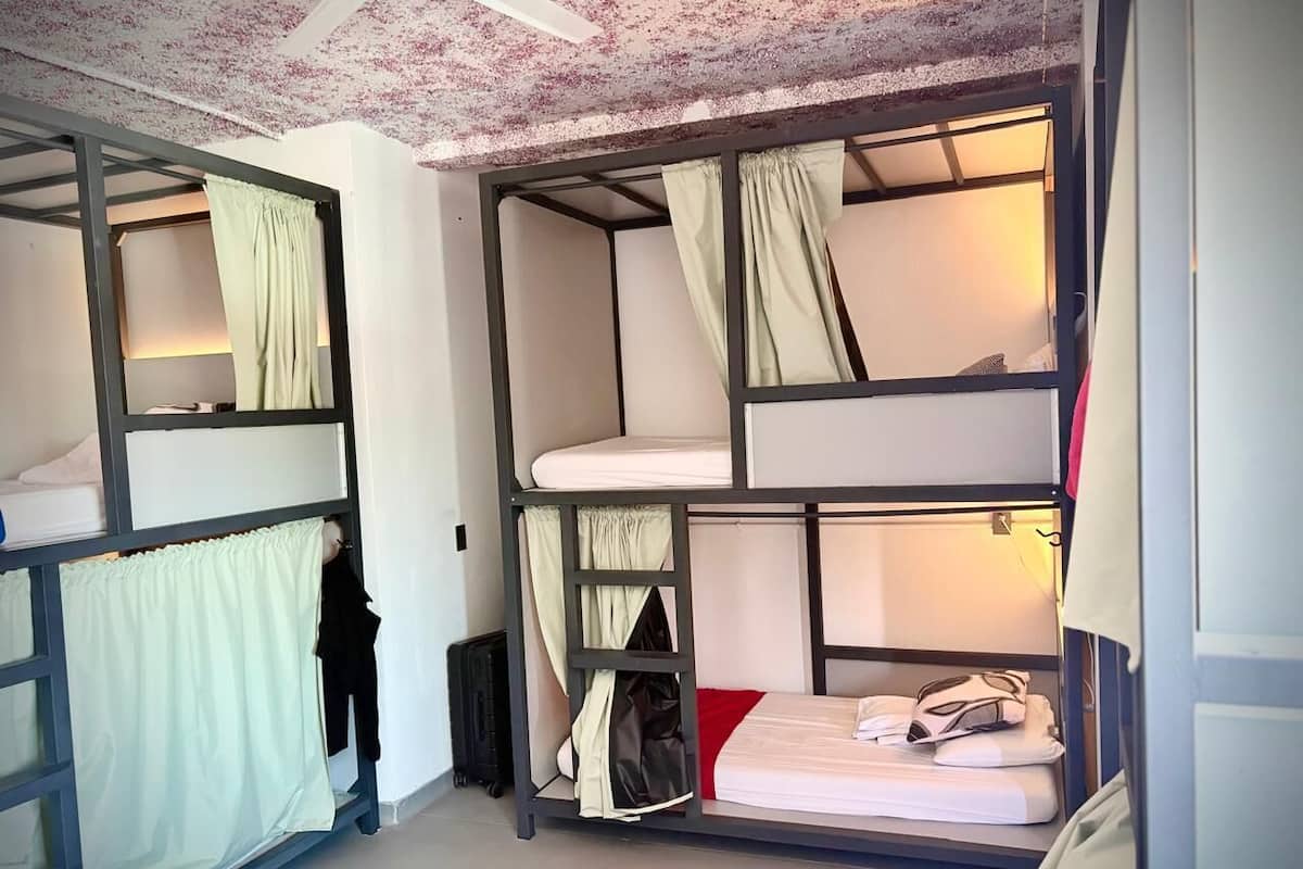 Dortoir Partagé Standard, femmes uniquement, vue parc (Mixed for 8 people) | Bureau, espace de travail pour ordinateur portable, rideaux occultants