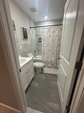 Shower, hair dryer, shampoo