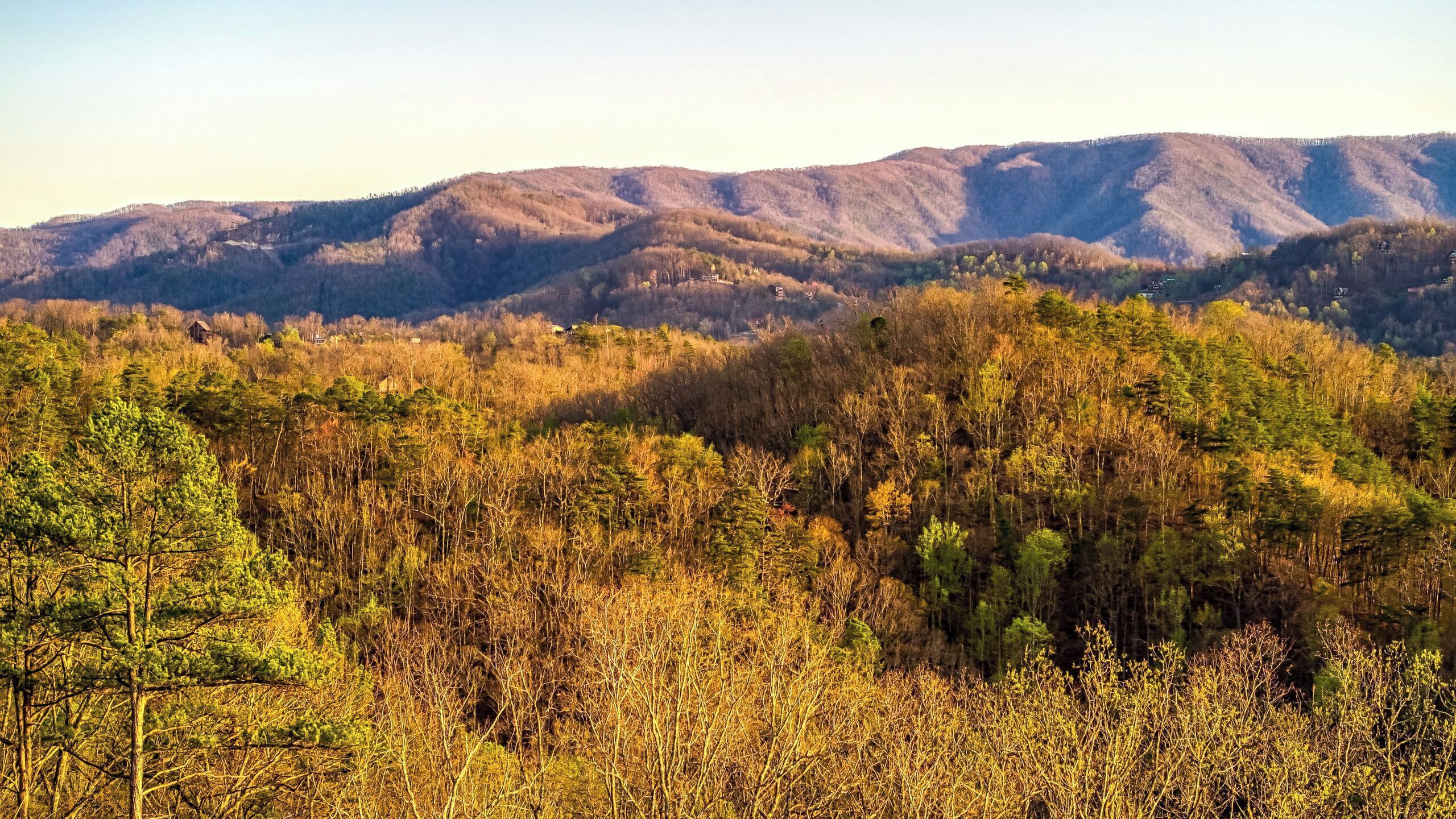 A mountainous landscape with dense forest and scattered buildings.