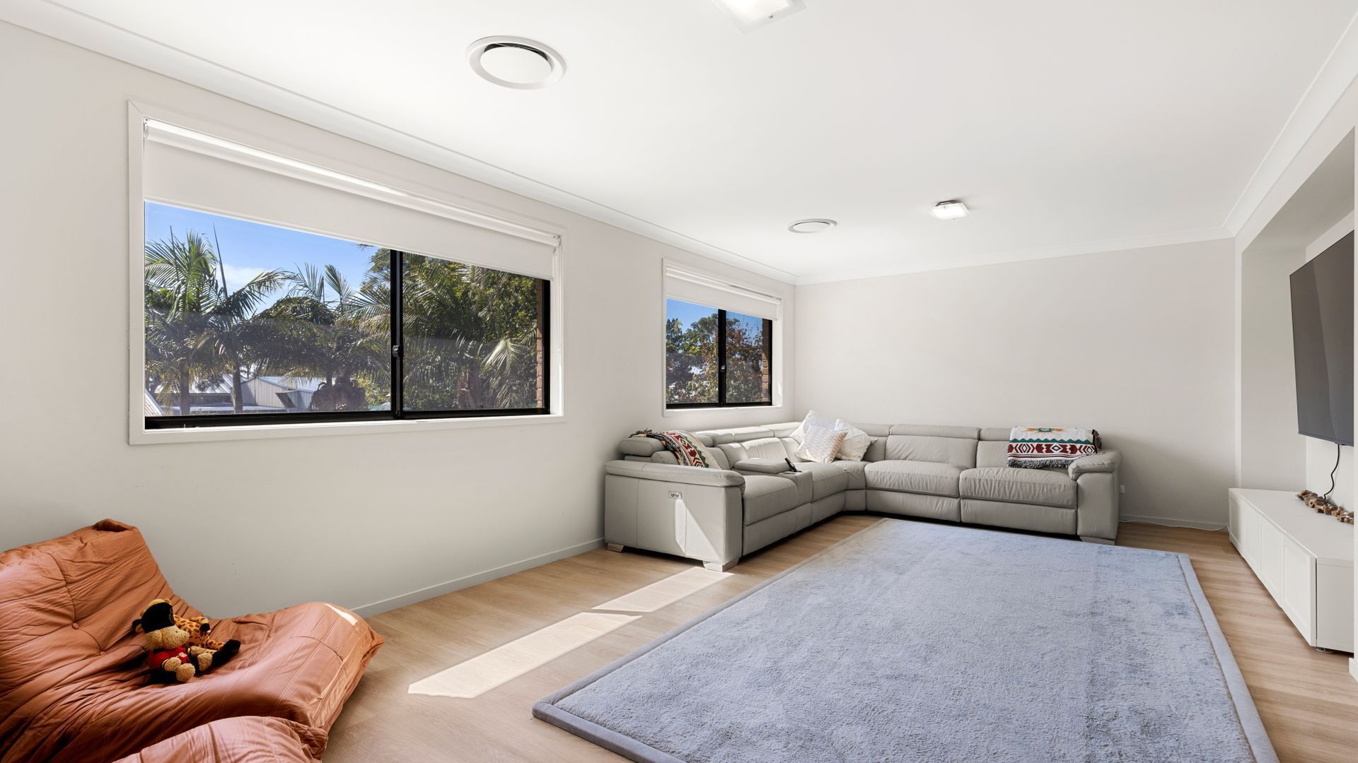 Smart TV, books, stereo