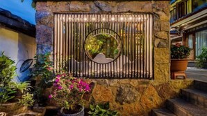 A stone wall with a metal gate, surrounded by potted plants and flowers. - Jixiang Guanjing Inn (Lijiang Old Town Dashuiche Branch) (Lijiang)