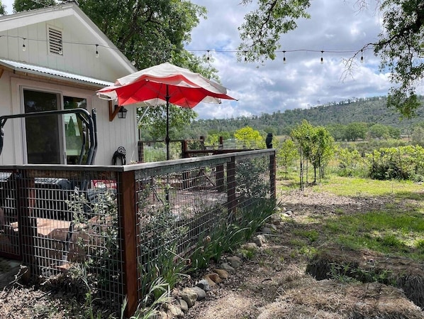 Àrea exterior de l'allotjament