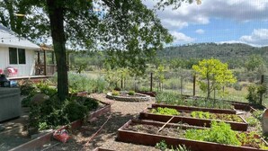 A garden with raised beds, a tree, and a view of a hilly landscape.