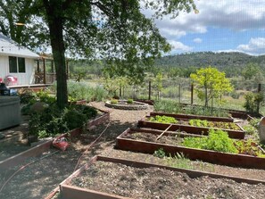 Àrea exterior de l'allotjament