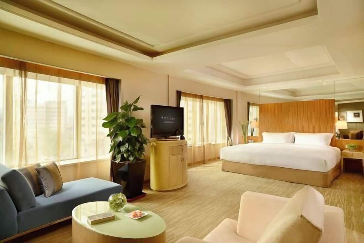 Une chambre d’hôtel avec un grand lit, un canapé, une télévision, une table basse et une plante en pot.