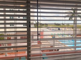 A view through window blinds of a swimming pool area with lounge chairs and a palm tree.