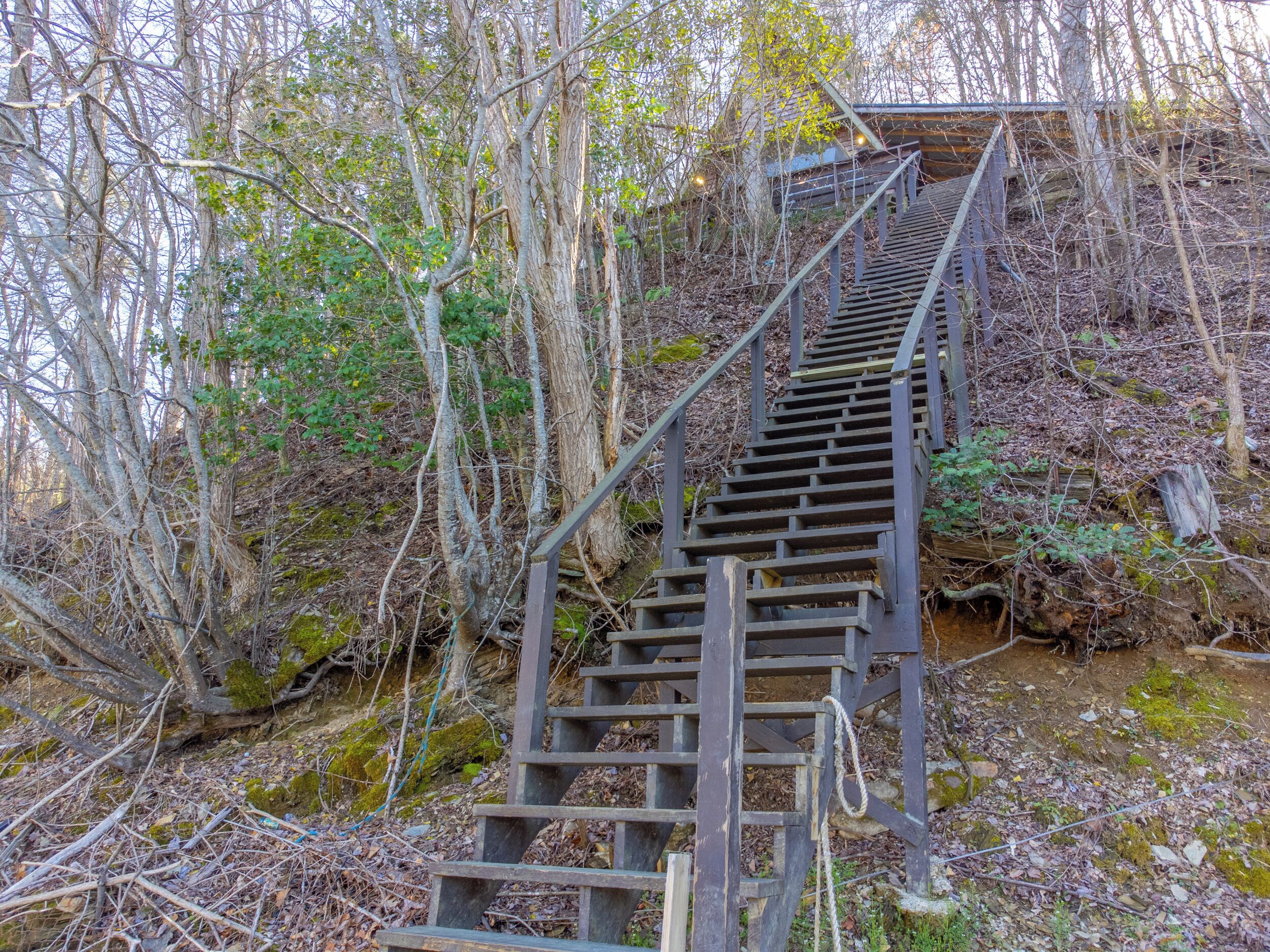 A wooden staircase leading up a hill, surrounded by trees and vegetation.