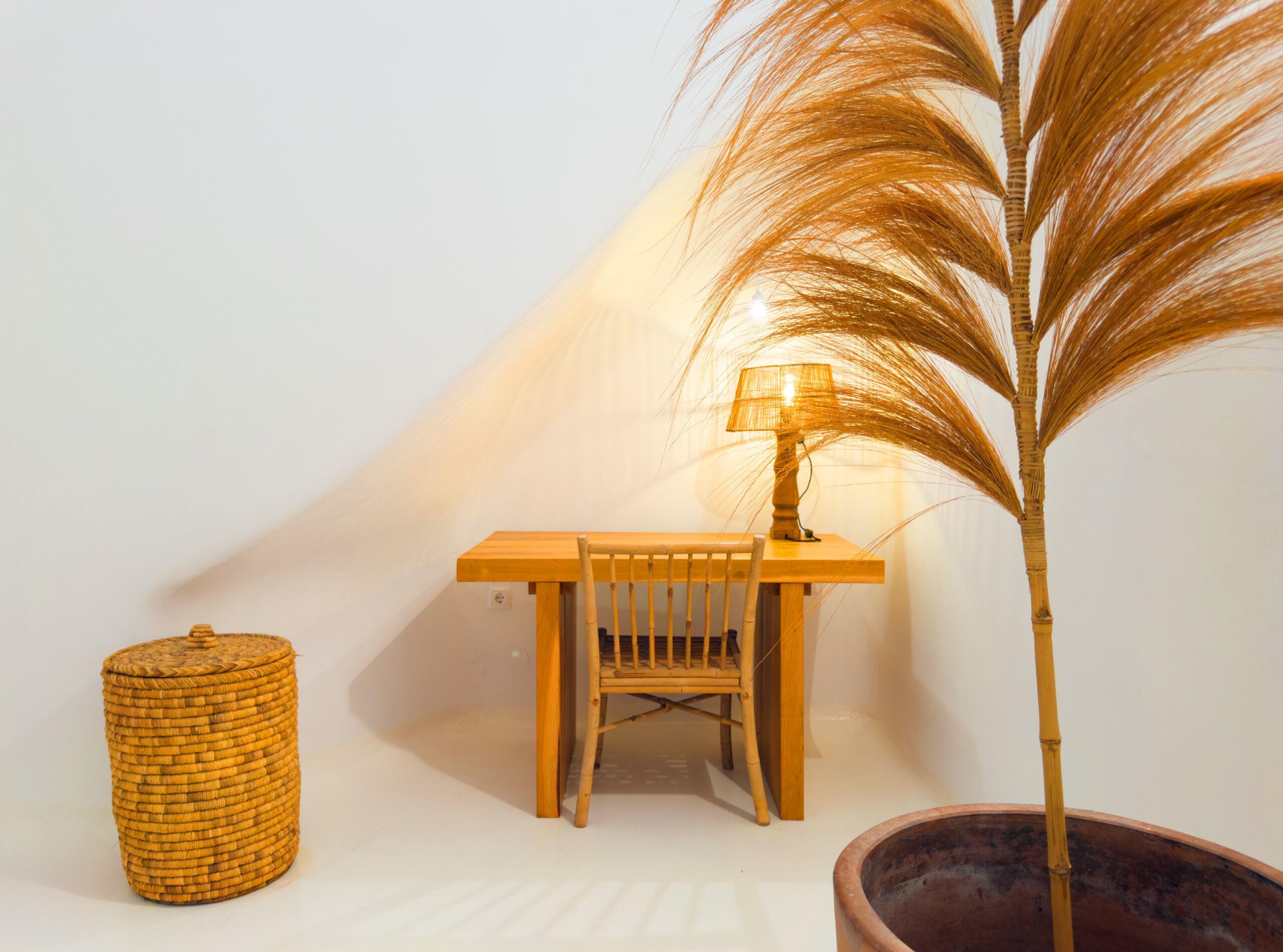 A corner with a wooden desk, a chair, a lamp, a woven basket, and a tall plant in a pot.