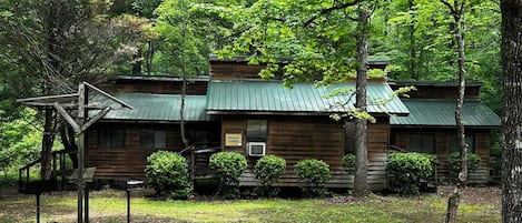 A rustic cabin with a green metal roof, surrounded by dense forest.