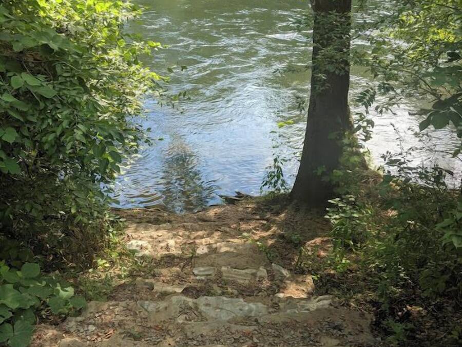 A natural outdoor area with a river, surrounded by dense greenery and a stone pathway leading into the water.