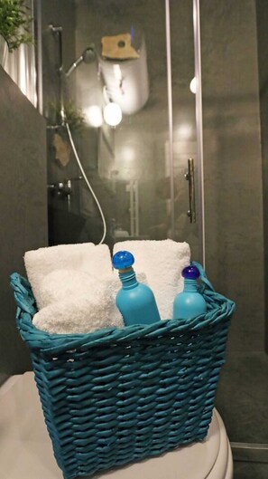 Shower, hair dryer, towels