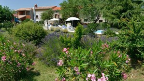 Un jardín con arbustos de lavanda, una zona de piscina con sillones de descanso y un edificio de piedra con tejado de baldosas.