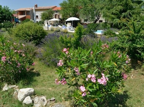 Jardines del alojamiento