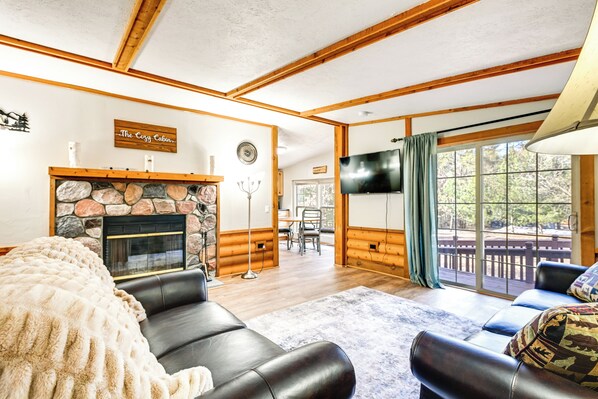 TV, fireplace, books