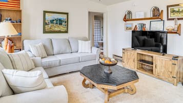 TV, fireplace, DVD player, books
