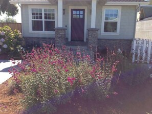 Exterior - Liberty Cottage - Walk to Beach (Santa Cruz)