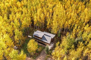 A cabin surrounded by a dense forest with a clear path leading to it.