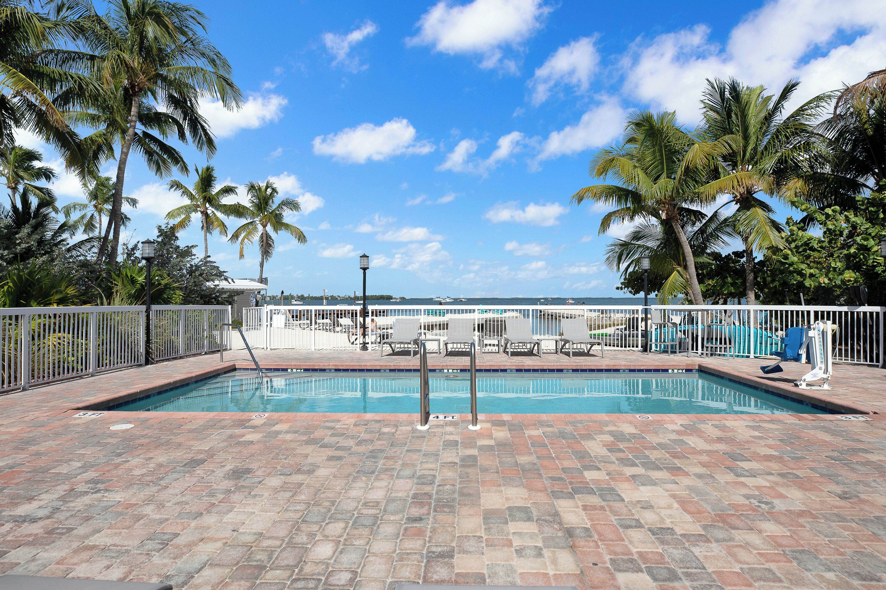 A swimming pool with a tiled deck, surrounded by palm trees and a white fence.