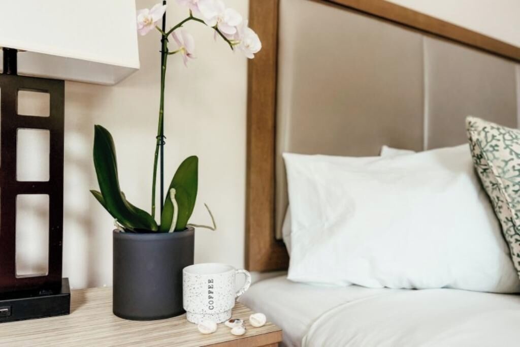 Et pænt opredt hotelværelse med seng, puder, et natbord med lampe, en potteplante og en kaffekop.