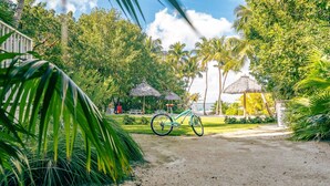 Un complexe hôtelier tropical doté de vélos, de palmiers et de bâtiments à toits de chaume.