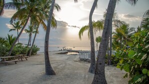 Une plage bordée de palmiers, une jetée en bois et des tables de pique-nique.