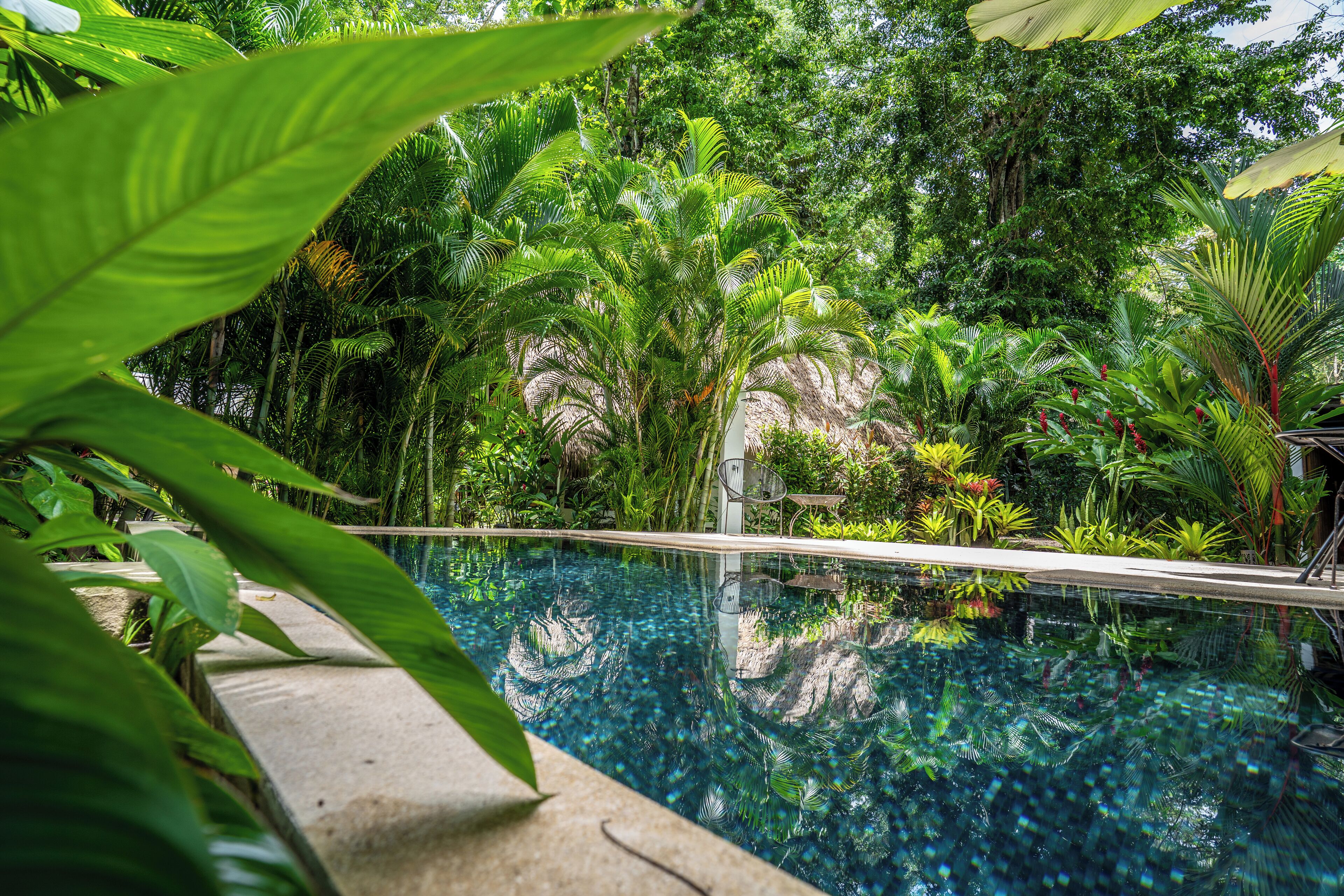 Piscina externa