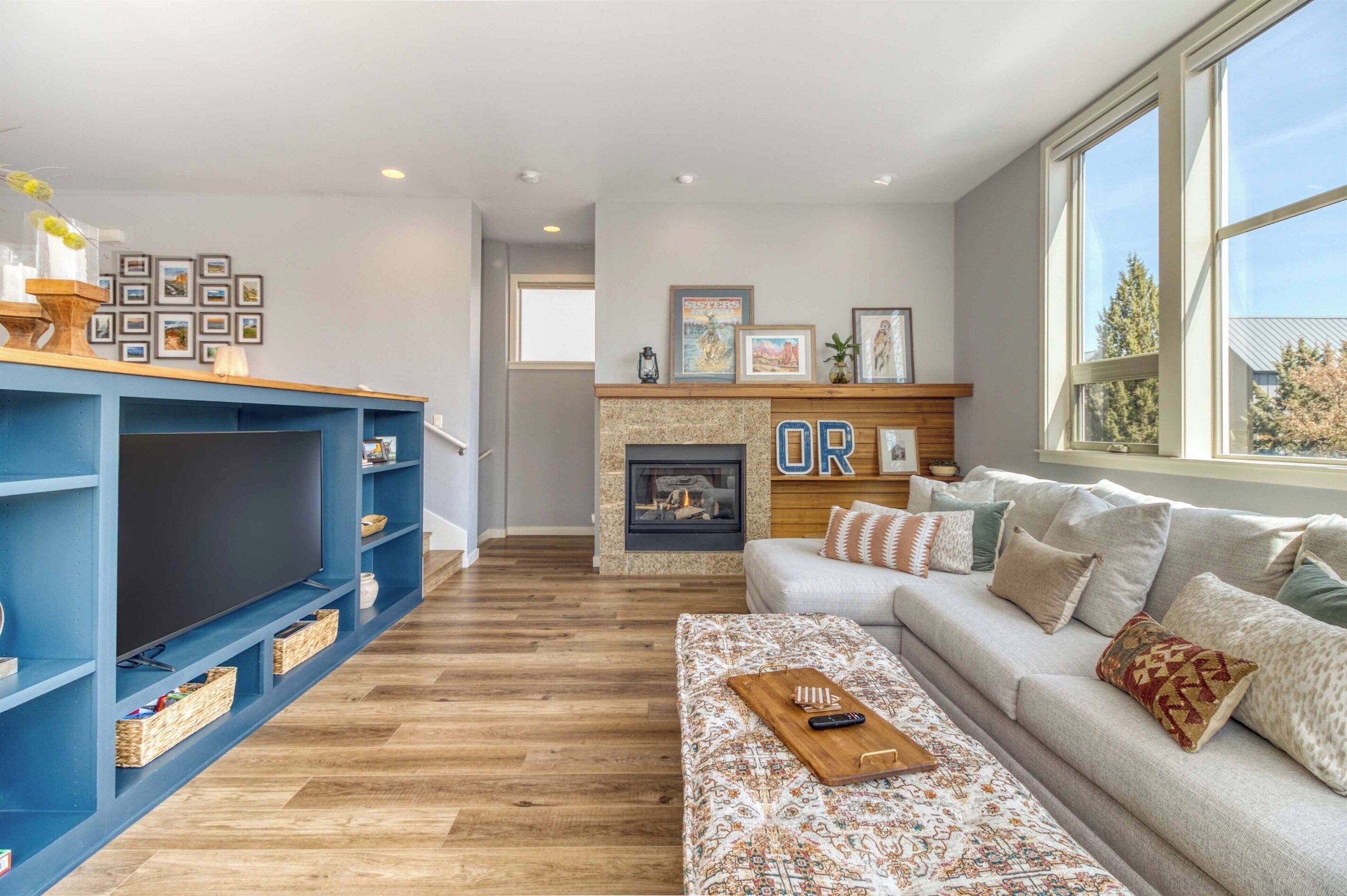 Smart TV, fireplace, books