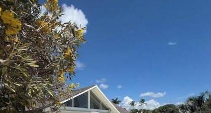 Luxury Villa by Minitas Beach