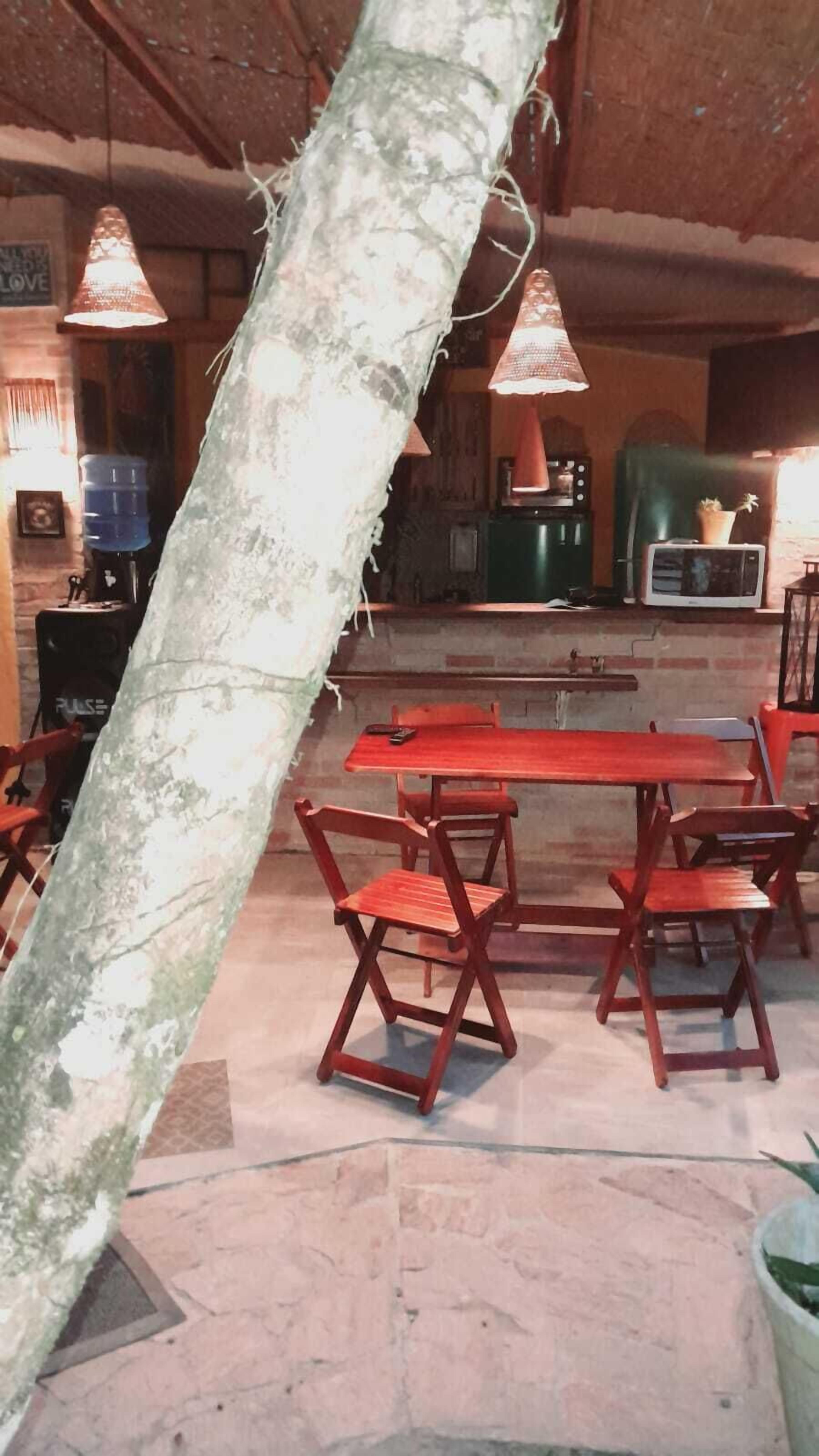 A rustic interior with a large tree trunk, wooden tables, and chairs.